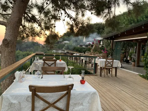 Kabak Avalon Bungalows Photos