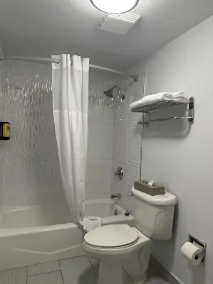 Best Western Plus Manhattan Beach Hotel Rooms Photos