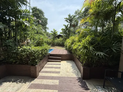 Barcelo Coconut Island Aree comuni Photos