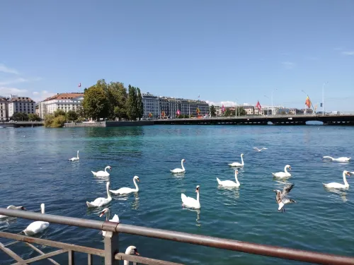 ibis Bordeaux Centre Mériadeck À proximité de l'hôtel Photos