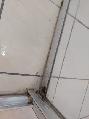 Ocean Parade Motel Rooms Photos