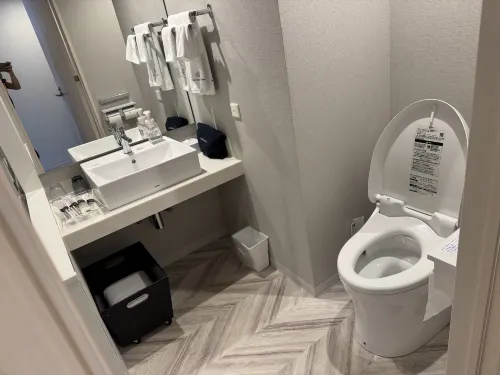 Daiwa Roynet Hotel Tokyo Kyobashi Premier الغرف Photos