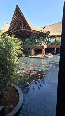 Lopesan Baobab Resort Photos