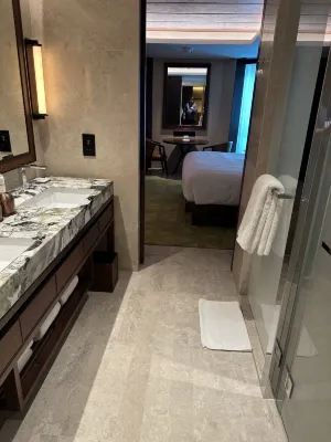 Grand Hyatt Singapore Chambres Photos