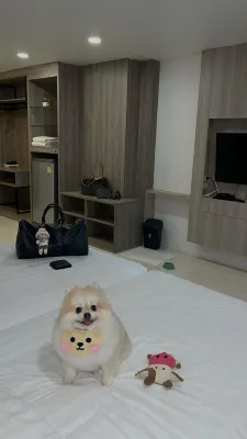 Bear’S Den Hotel Pattaya Photos