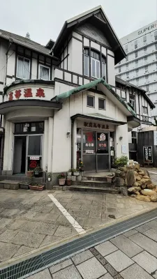 Hotel Hayashi Außen Photos