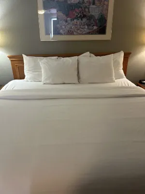 La Quinta Inn by Wyndham Norfolk Virginia Beach Chambres Photos