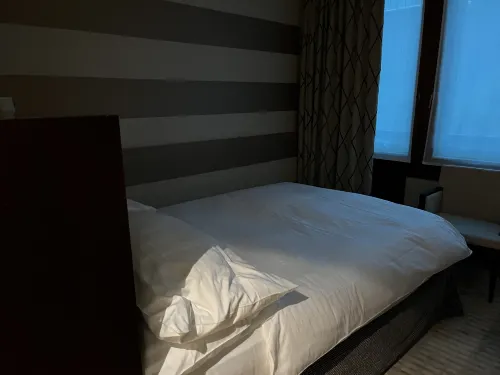 Hilton Geneva Hotel and Conference Centre Camere Photos