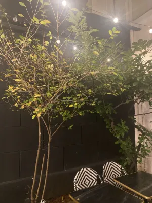 Ibis Styles Paris Batignolles Photos
