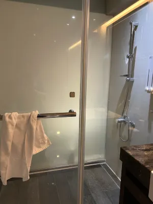 Century Hotel Taoyuan Kamar Photos