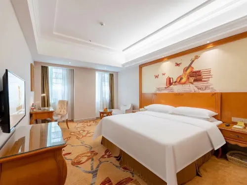 Vienna International Hotel (Guangzhou Xintang High Speed Railway Station Cowboy City Branch) Номера Photos