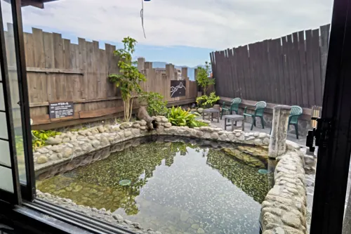 Dormy Inn Kofu Natural Hot Spring Kaiji No Yu Reopening on February 3rd 2025 Photos
