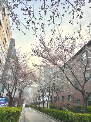Sungshin University Station Ivy Circondario Photos