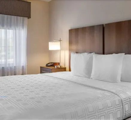 Best Western North Phoenix Hotel Rooms Photos