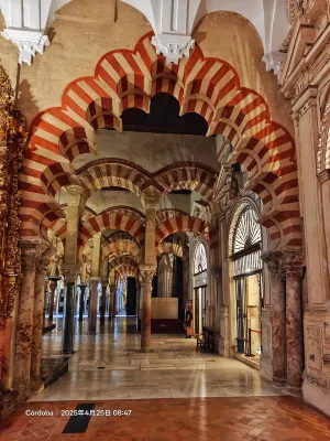 Hotel Casa Museo de la Mezquita Public Areas Photos