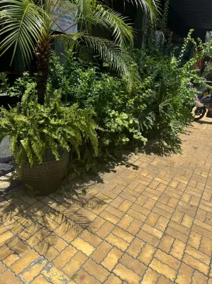 Saigon Garden Hotel Photos