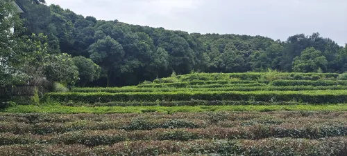 미주 호텔 주변 Photos