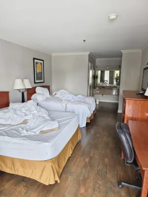 Best Western Palm Garden Inn Zimmer Photos