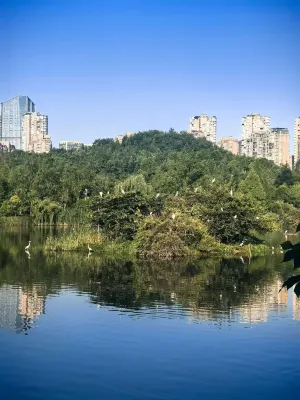Renaissance Guiyang Hotel Near Hotel Photos