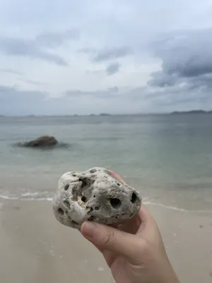 深圳晨曦海岸民宿 Photos