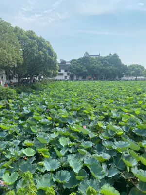 스트림 호텔 호텔 주변 Photos