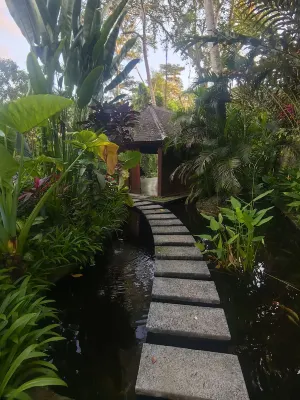 The Hidden Paradise Ubud Espaces publics Photos