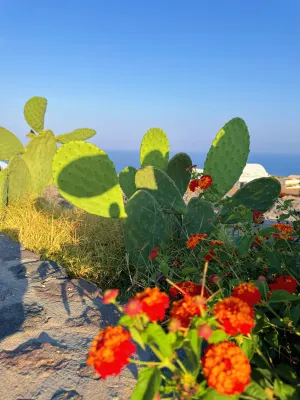 Santo Pure Oia Suites & Villas Near Hotel Photos