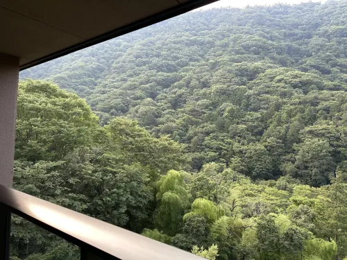 Hatsuhana Near Hotel Photos