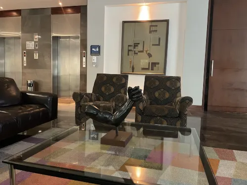 Hotel San Fernando Plaza Public Areas Photos