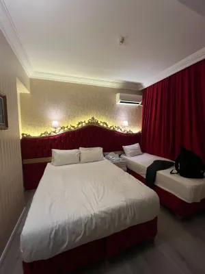 Santa Sophia Hotel - İstanbul Номера Photos