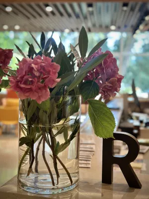 Rikli Balance Hotel – Sava Hotels & Resorts Photos