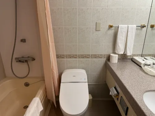 International Garden Hotel Narita Rooms Photos
