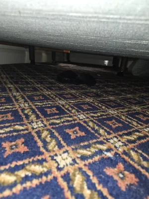 Seymour Hotel Photos
