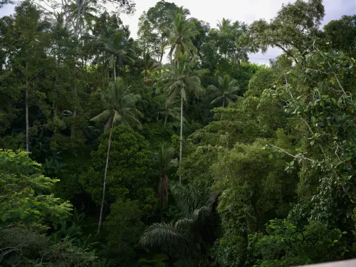 Anantara Ubud Bali Resort Dekat Hotel Photos