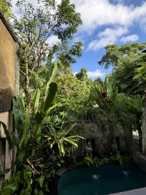The Compass Rose Ubud Photos
