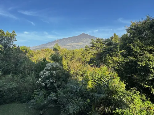 Baobab Safari Resort Near Hotel Photos