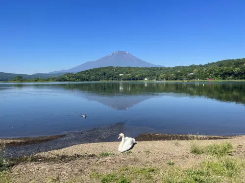 Fuji Marriott Hotel Lake Yamanaka Circondario Photos