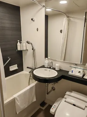 Palace Hotel Omiya Camere Photos