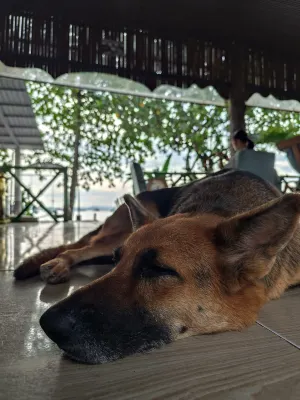 Mai Phuong Resort Phu Quoc Photos