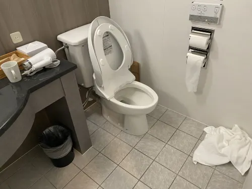 Shibuya Excel Hotel Tokyu Rooms Photos