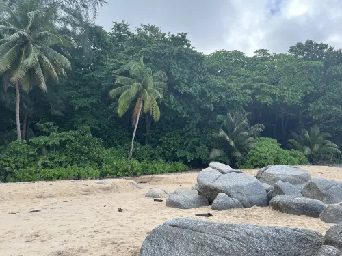 Benyada Lodge - Surin Beach À proximité de l'hôtel Photos
