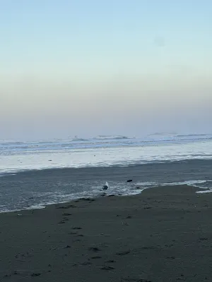Ebb Tide Oceanfront Inn Near Hotel Photos