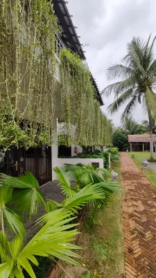 Riverside Bamboo Resort Hội An Khu vực công cộng Photos