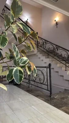 Yerevan Deluxe Hotel Public Areas Photos