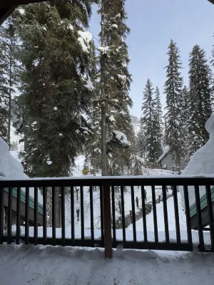 Emerald Lake Lodge À proximité de l'hôtel Photos