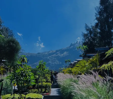 Manis Ae Cabin & Resto Bromo Dekat Hotel Photos