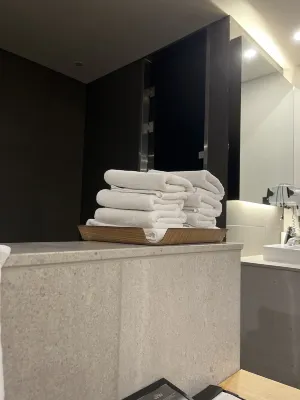 Vine Hotel Camere Photos