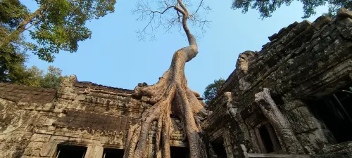 Sophavady D'Angkor Near Hotel Photos