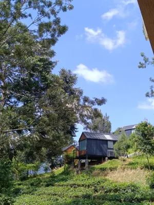 Bobocabin Gunung Mas, Puncak Dekat Hotel Photos