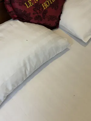 Le Ngan Phung Hotel Номера Photos